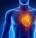 Cardiorespiratory Fitness: The Key to a Longer Life