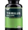 Does Testosterone Supplement Tribulus work?