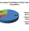 How Many Calories Should I have to Lose or Gain Weight?