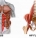How To Make Your Ab Exercises More Effective