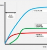 Why You Should Not Change Exercises Too Often?