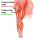 The Best Triceps Exercise