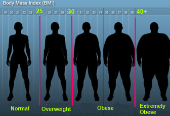 body mass index or bmi