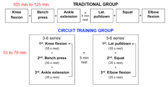 The Advantages Of Training Program