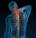 What should fitness professionals understand about pain and injury?