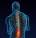 Scans for Low Back Pain: Good or Bad