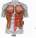 How To Make Your Ab Exercises More Effective