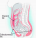 Can Exercise or Diet Prevent Abdominal Visceral Fat Gain?