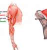 When You Should Change Your Exercises?