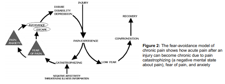 guide to pain