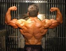  biggest natural bodybuilder Jim Cordova