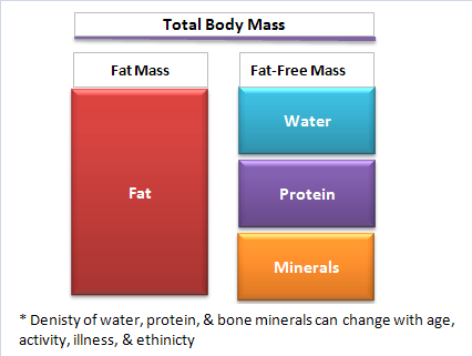 two compartment model for body fat percent measurements