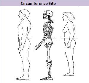 how to measure waist circumference