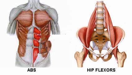 Abs & Hip Flexors